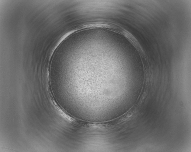 X0000078010852200611101819