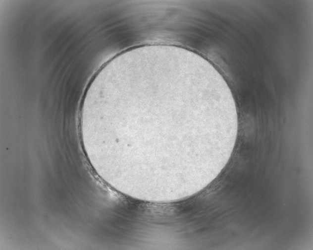 X0000078010856200611101819