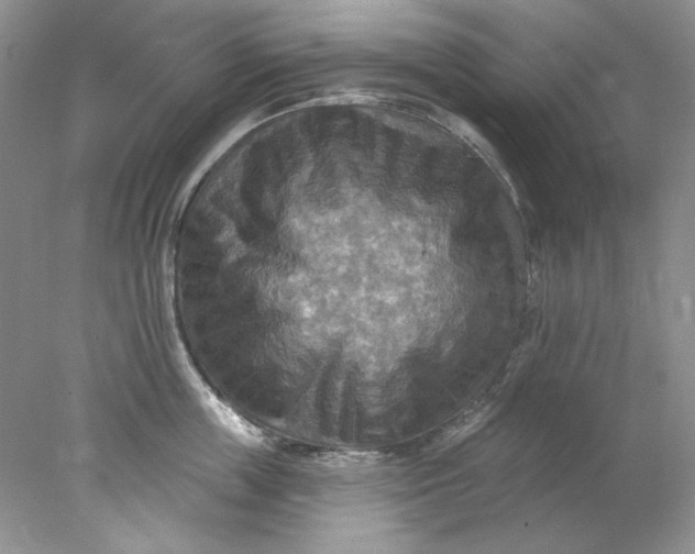 X0000078010859200611101819