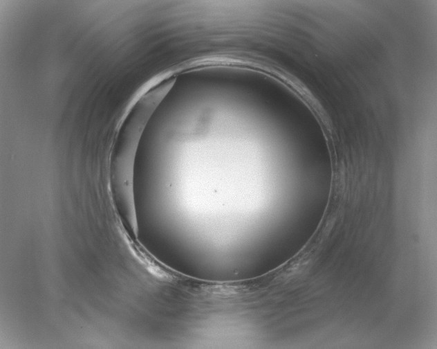X0000078010862200611101819