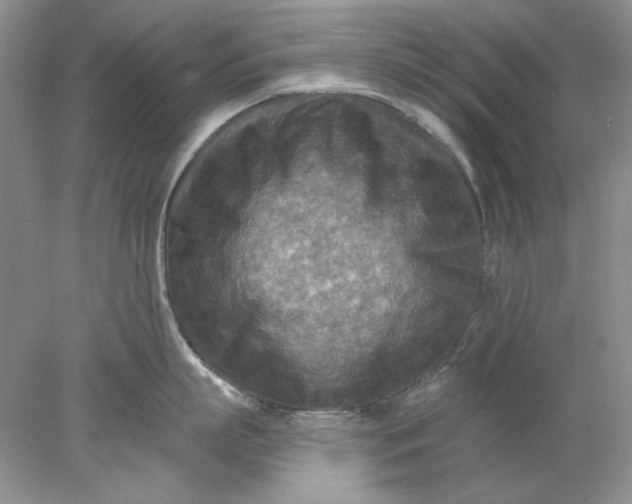 X0000078010863200611101819
