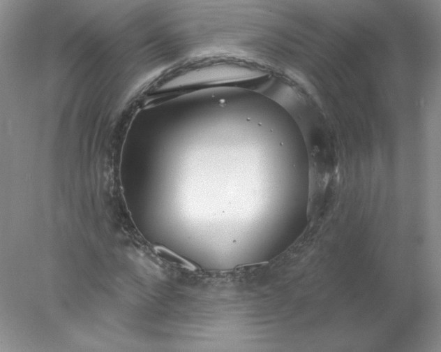 X0000078010872200611101818