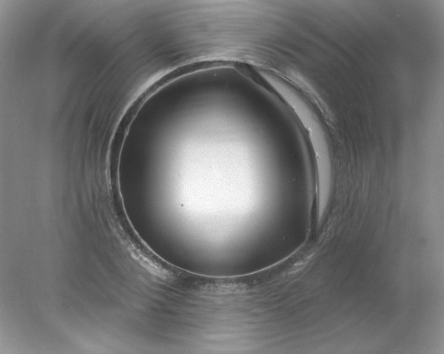 X0000078010884200611101818