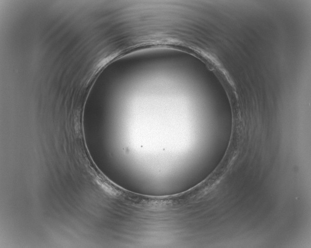 X0000078010889200611101818