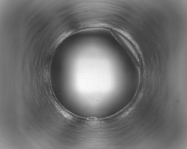 X0000078010897200611101818