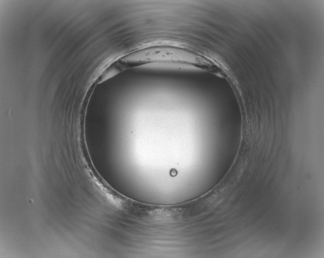 X0000078010898200611101818