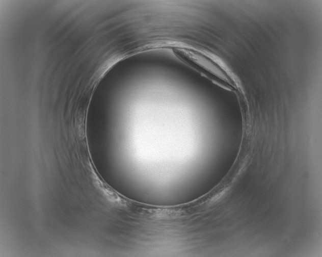 X0000078010905200611101818