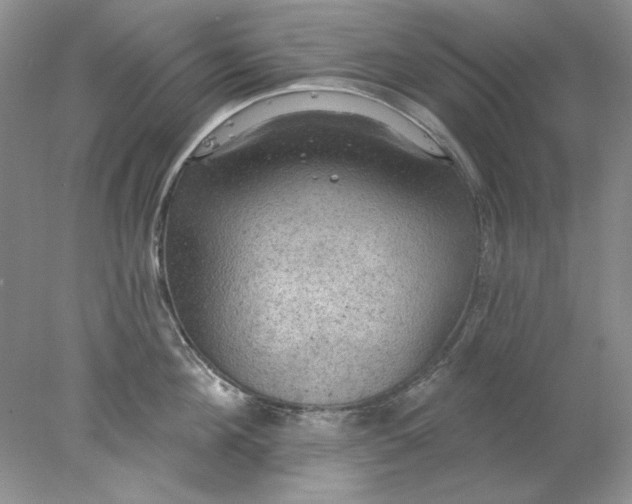 X0000078010908200611101817
