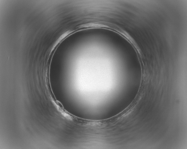 X0000078010909200611101817