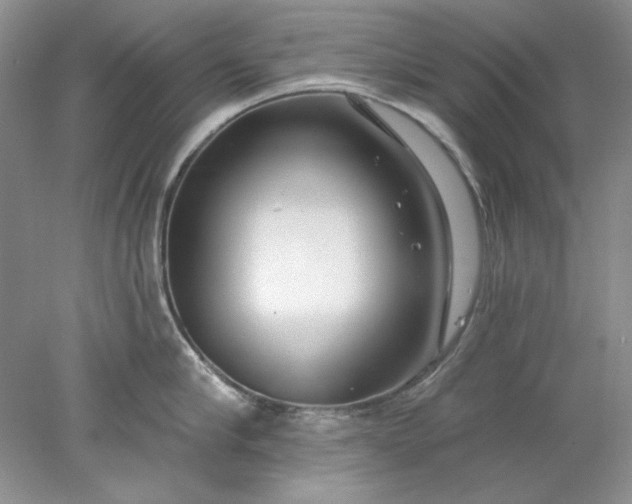 X0000078010910200611101817