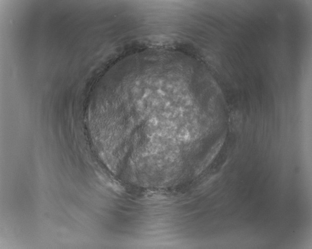 X0000078010913200611101817