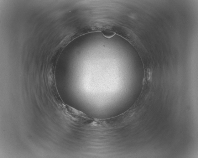 X0000078010915200611101817