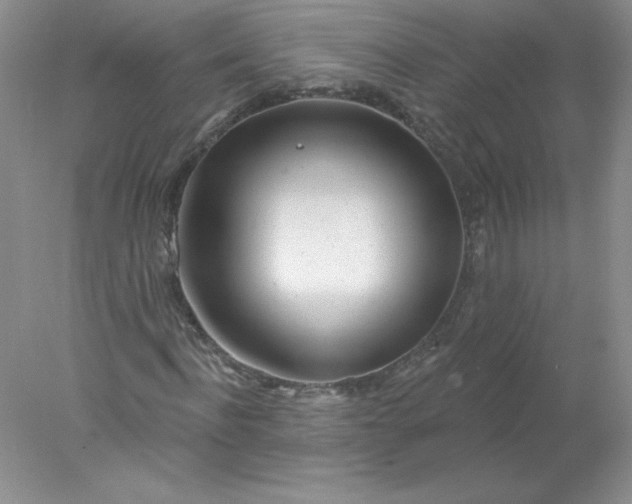 X0000078010916200611101817