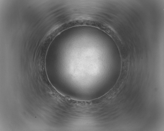 X0000078010919200611101817