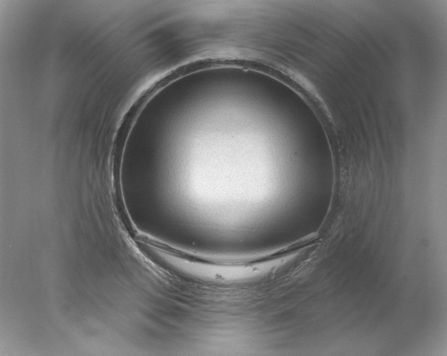 X0000078010935200611101817