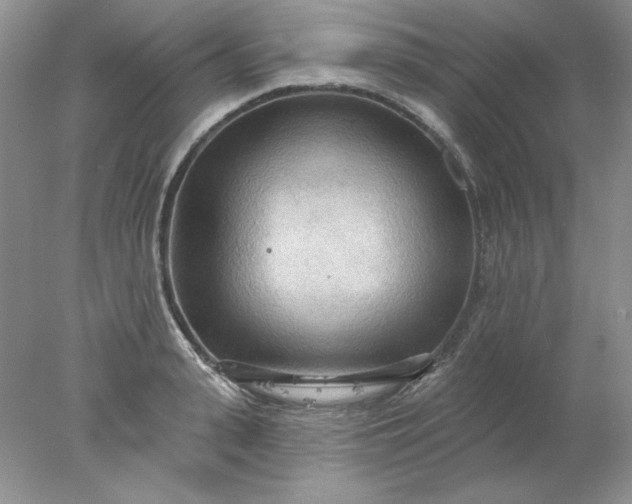 X0000078010943200611101817