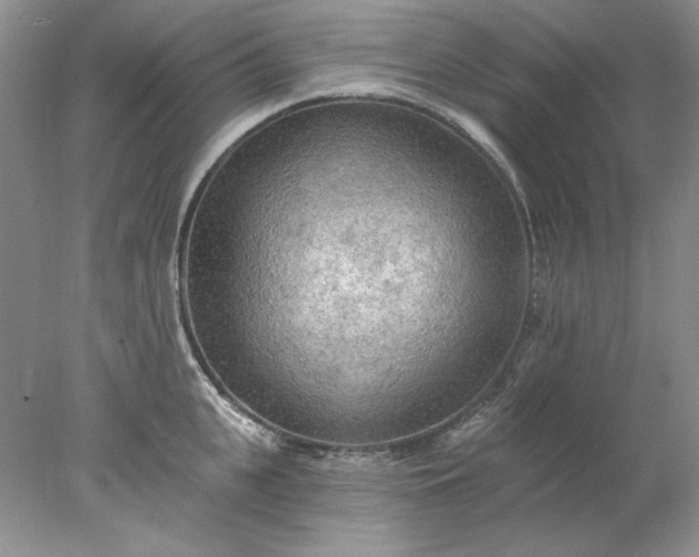 X0000078010951200611101817
