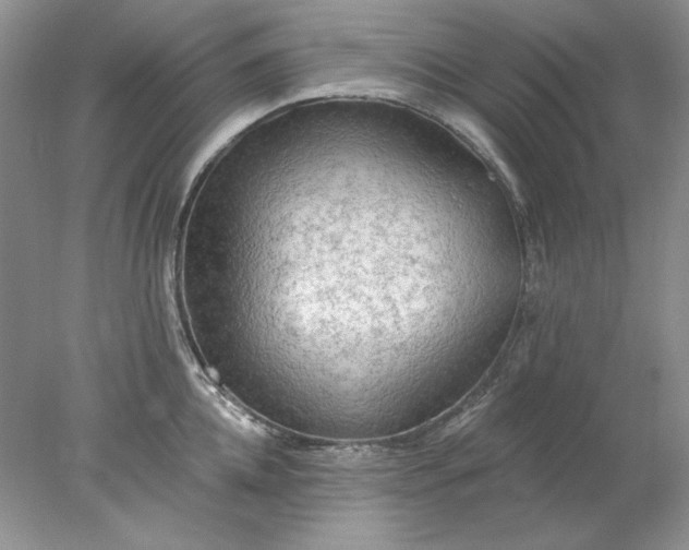 X0000078010952200611101817