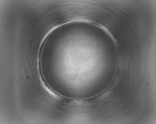 X0000078010955200611101817