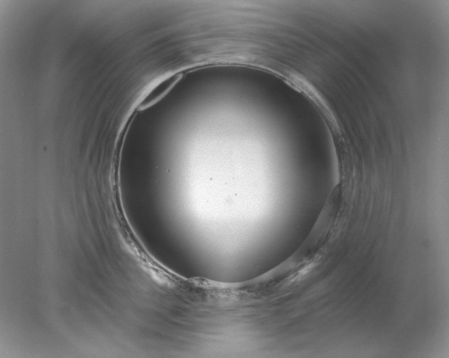 X0000078010956200611101817