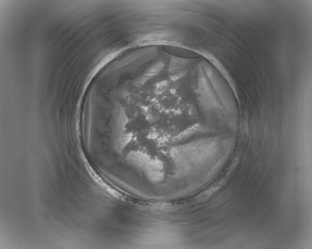 X0000078010957200611101817