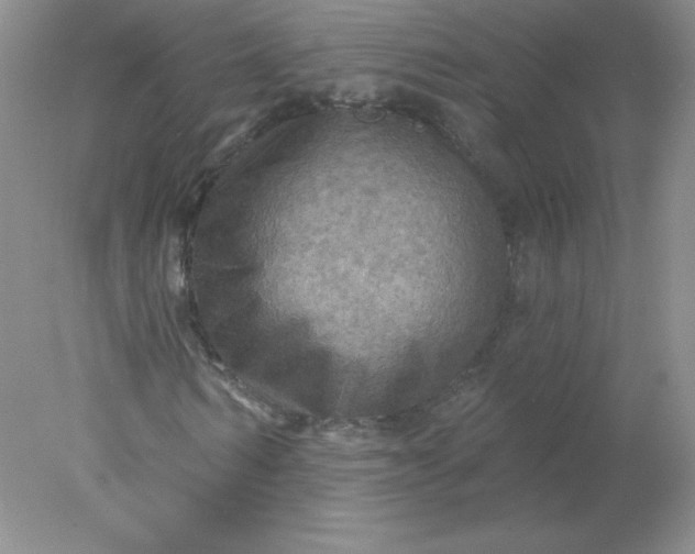 X0000078010962200611101817