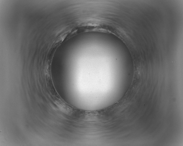 X0000078010964200611101817