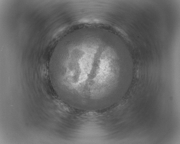 X0000078010966200611101816
