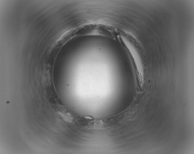X0000078010968200611101816