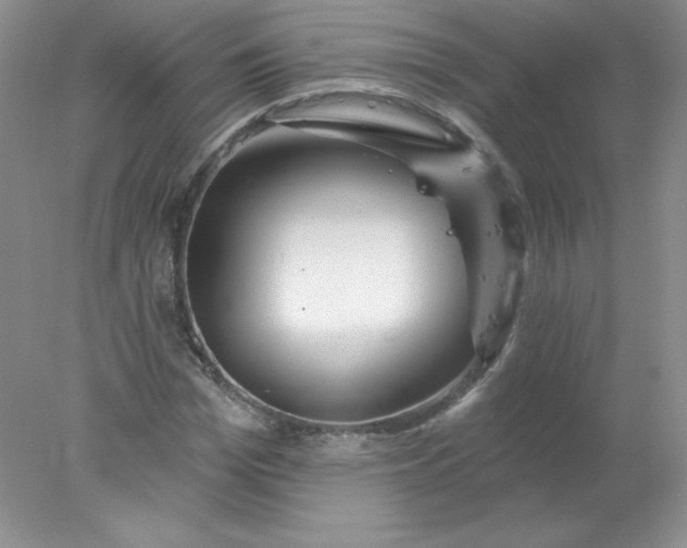 X0000078010969200611101816