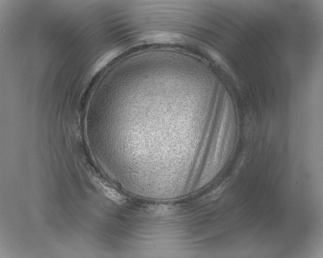X0000078010970200611101816