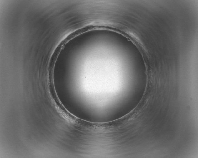 X0000078010976200611101816