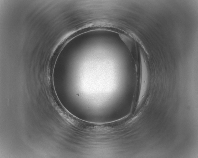 X0000078010981200611101816