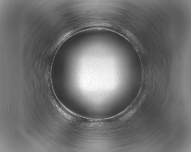 X0000078010985200611101816