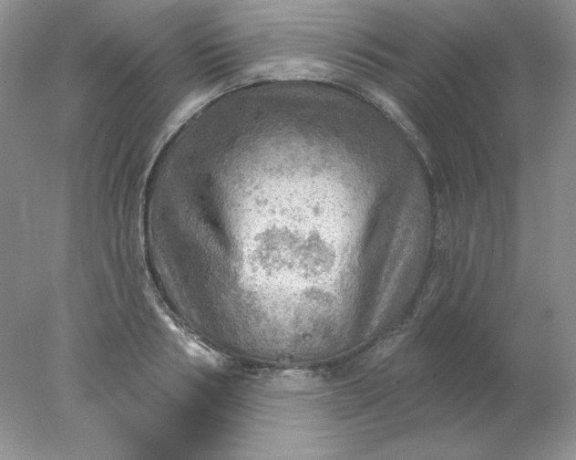 X0000078010986200611101816