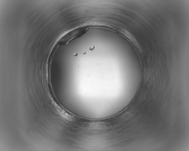X0000078010988200611101816