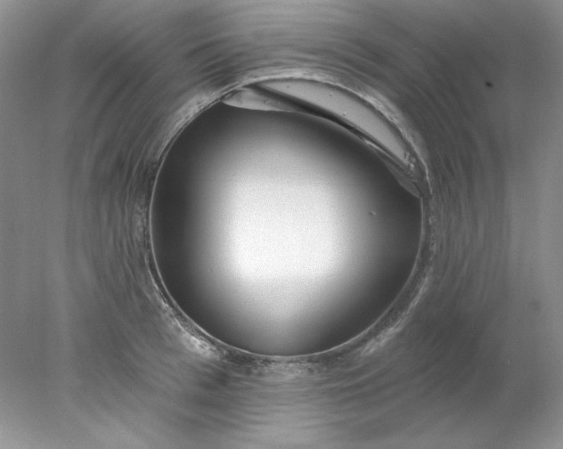 X0000078010993200611101816