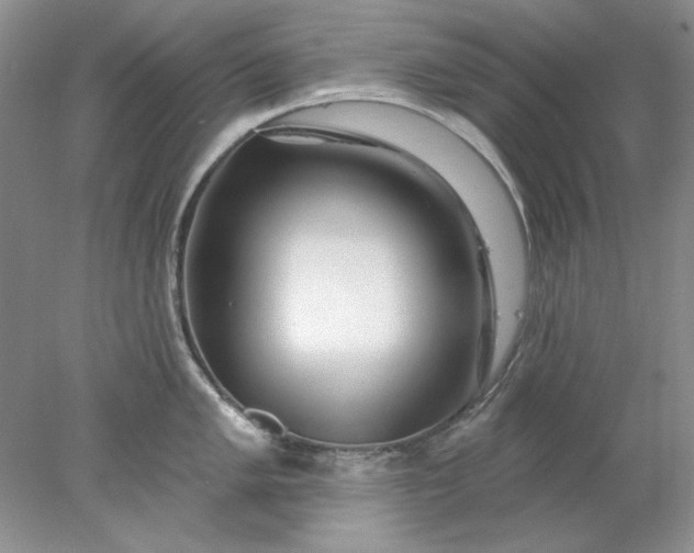 X0000078011005200611101816