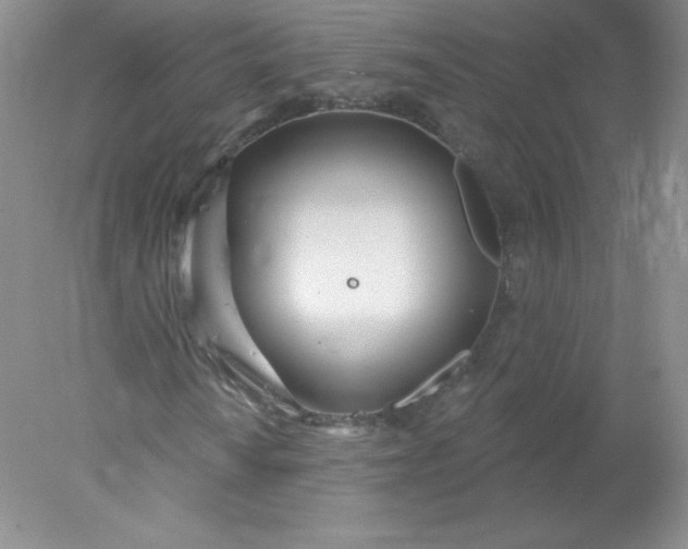 X0000078011010200611101815