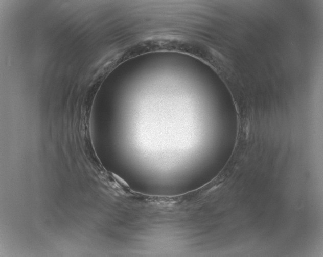 X0000078011014200611101815