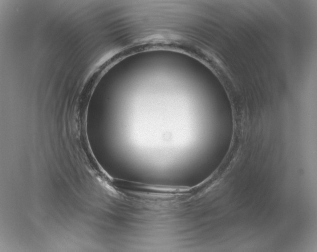 X0000078011018200611101815