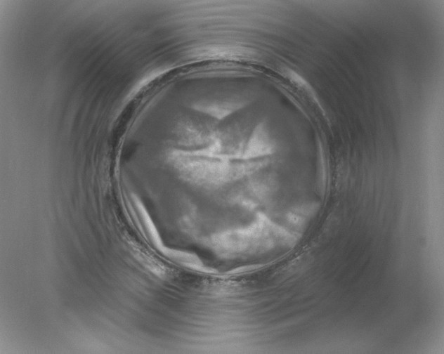 X0000078011019200611101815