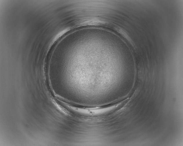 X0000078011026200611101815