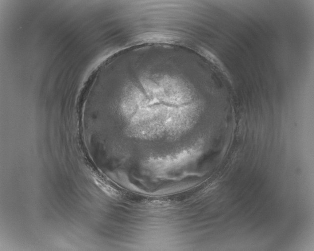 X0000078011027200611101815