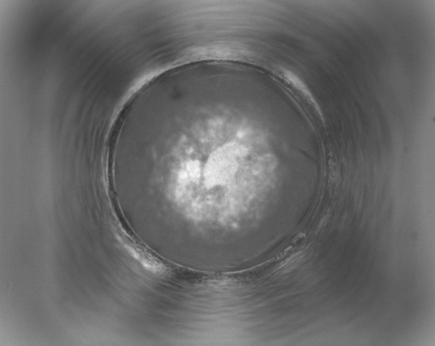 X0000078011035200611101815