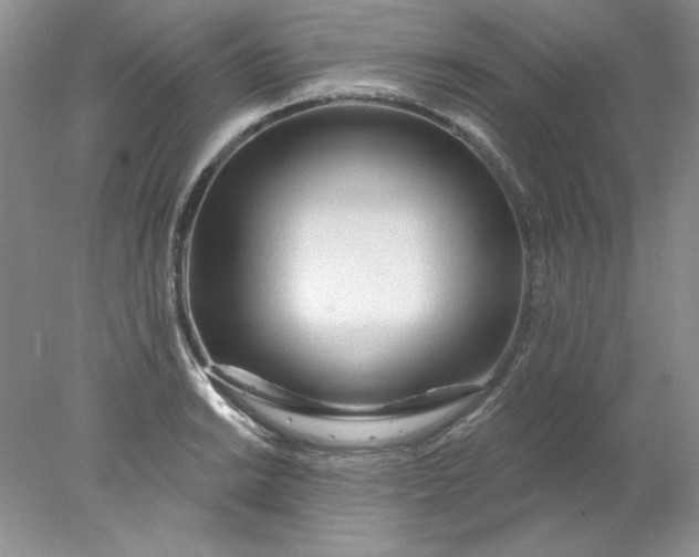X0000078011038200611101815