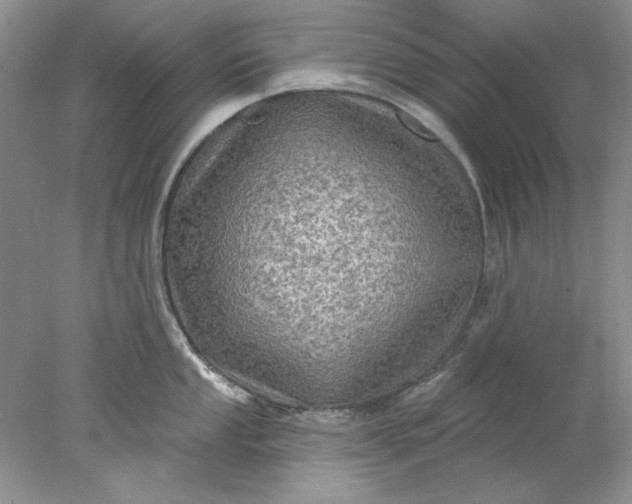X0000078011053200611101816