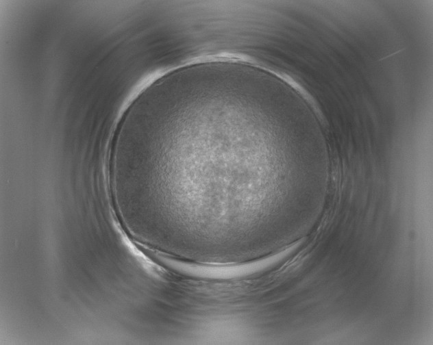 X0000078011054200611101816