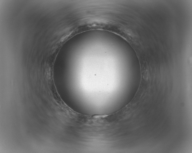 X0000078011061200611101815