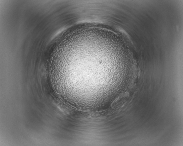 X0000078011064200611101815